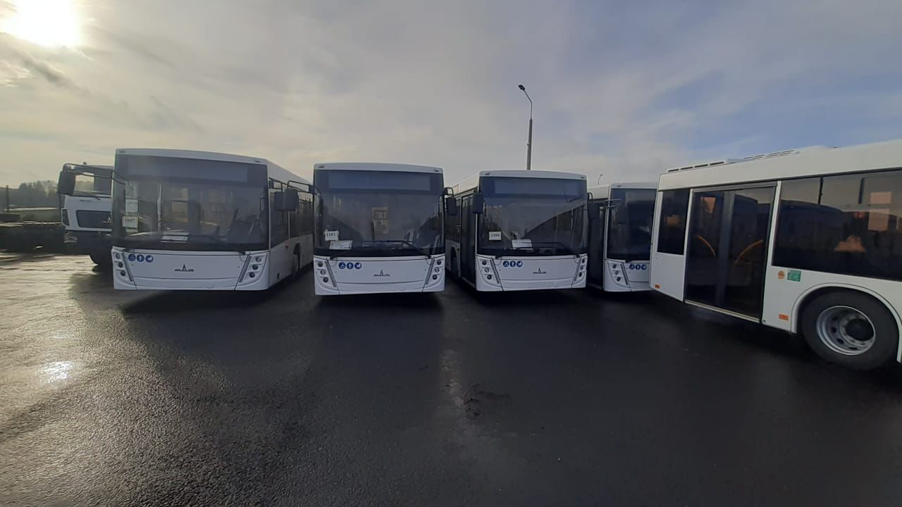 Пассажиравтотранс возобновил эксплуатацию автобусов МАЗ в Петербурге