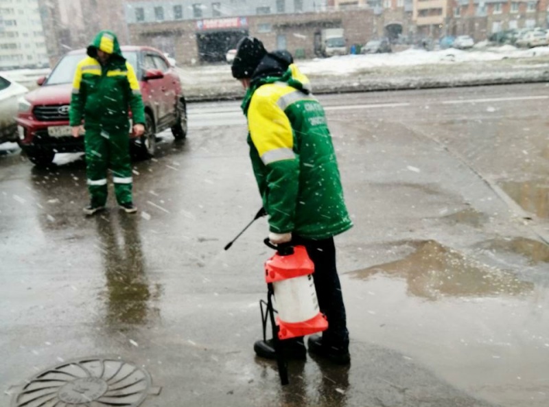 В Петербурге экологические службы за неделю собрали около двух тонн опасных отходов