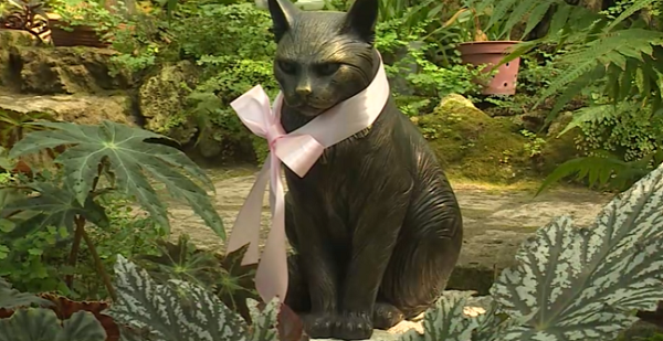 В Ботаническом саду Петра Великого появился памятник кошке Муся