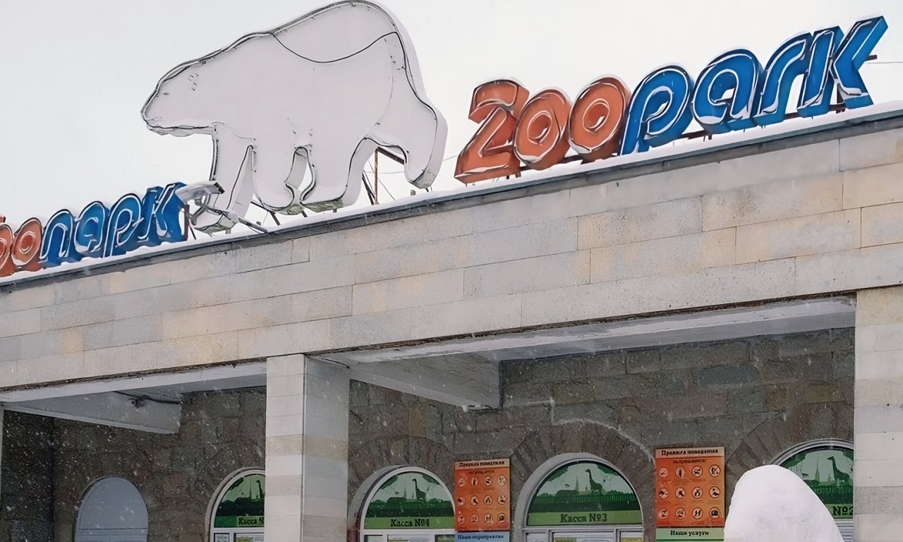 Вчерашний день в Ленинградском зоопарке выдался тревожным — поступил звонок с сообщением о минировании. 